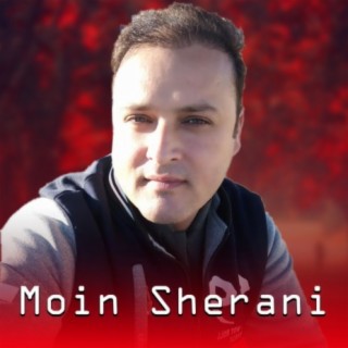 Moin Sherani