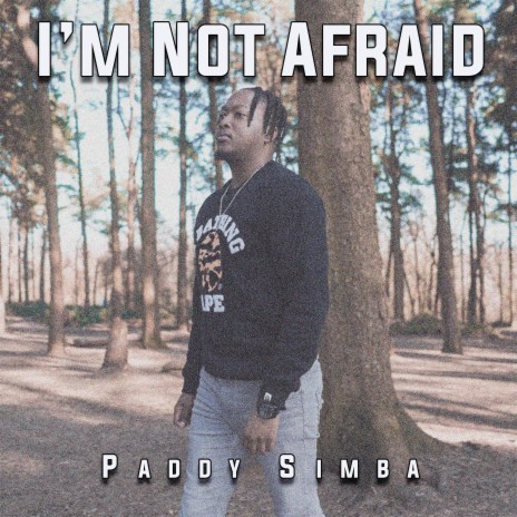 I'm Not Afraid | Boomplay Music