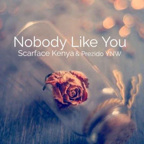 Nobody Like You ft. Prezido YNW | Boomplay Music