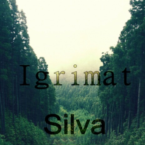 Silva (Original Mix) | Boomplay Music