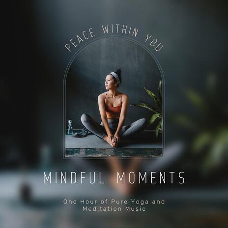 Mindful Moments - One Hour of Pure Yoga and Meditation Music | Boomplay Music