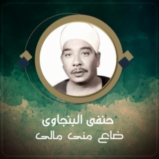 ضاع منى مالى