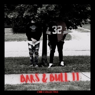 Bars & Bull II