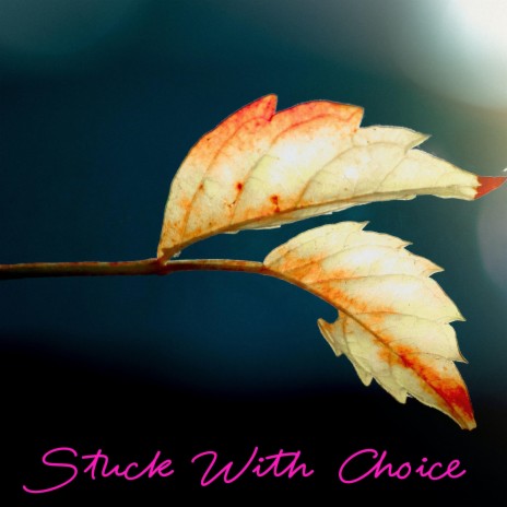 Stuck With Choice | Boomplay Music