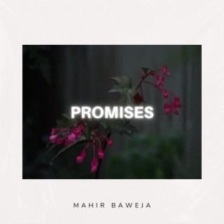 Promises lyrics | Boomplay Music