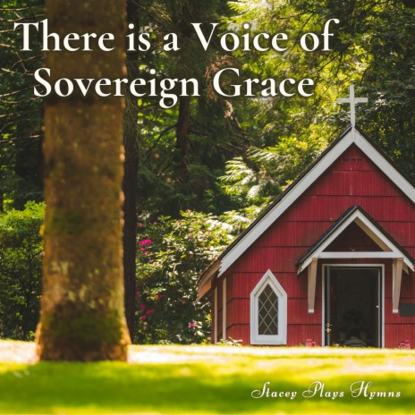 There is a Voice of Sovereign Grace | Boomplay Music