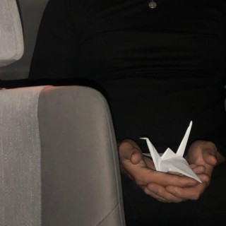 origami in the backseat