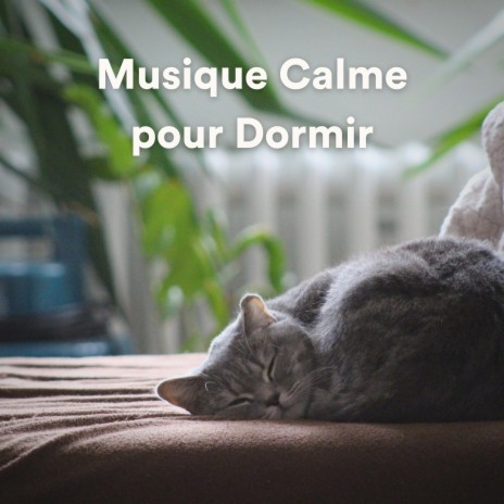 Musique Pour Dormir Rapidement ft. Zone de la Musique Relaxante & Aide Au Sommeil | Boomplay Music