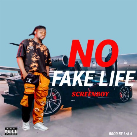 No Fake Life