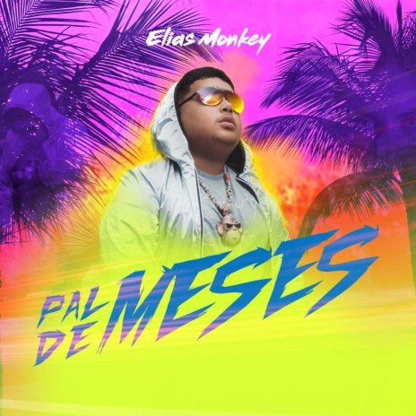 Pal De Meses | Boomplay Music
