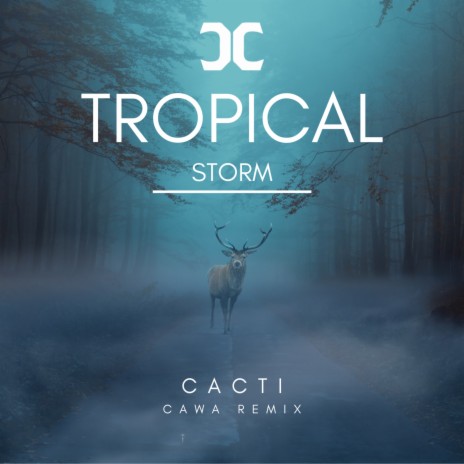 Tropical Storm (Remix) | Boomplay Music