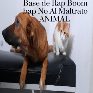 Base de Rap Boom bap No Al Maltrato ANIMAL