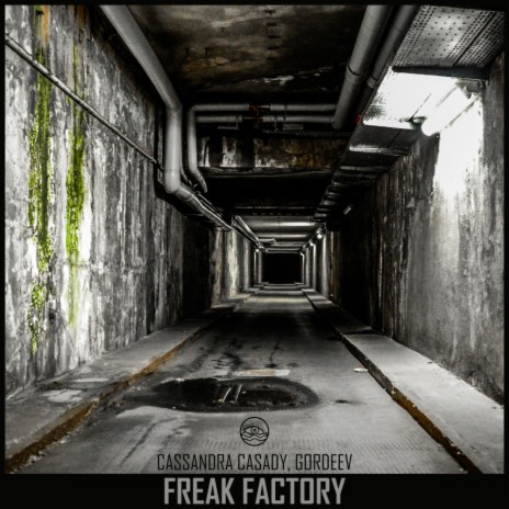 Freak Factory (Original Mix) ft. Gordeev | Boomplay Music