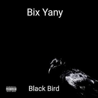 Black Bird