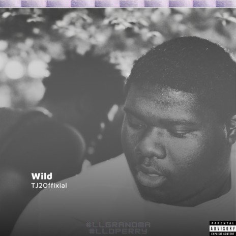 Wild | Boomplay Music