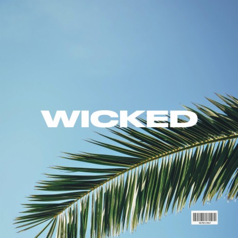 Wicked (Instrumental) | Boomplay Music