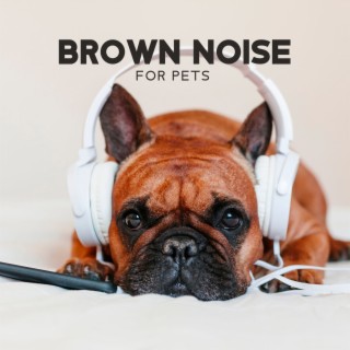 Brown Noise for Pets