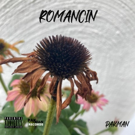 Romancin | Boomplay Music