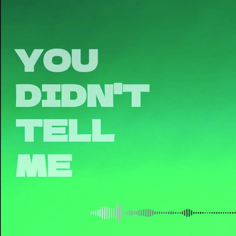 You Didn't Tell Me | Boomplay Music