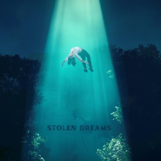 Stolen Dreams | Boomplay Music