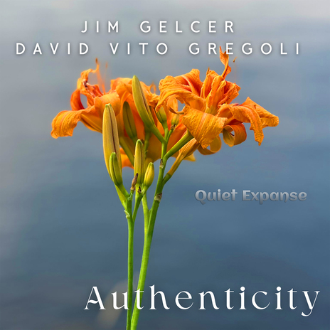 Authenticity ft. David Vito Gregoli | Boomplay Music