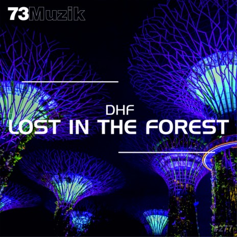 Lost In The Forest (Original Mix)