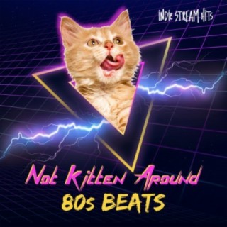 Not Kitten Around (80s Beats)