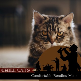 Comfortable Reading Music