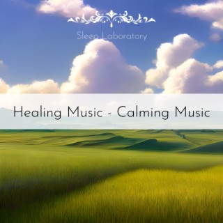 Healing Music - Calming Music