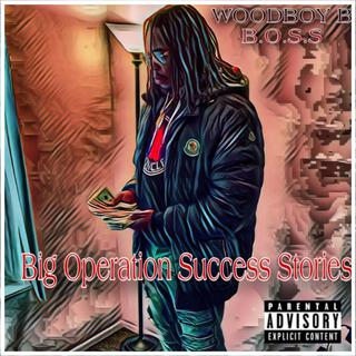 B.O.S.S (Big operation success stories)