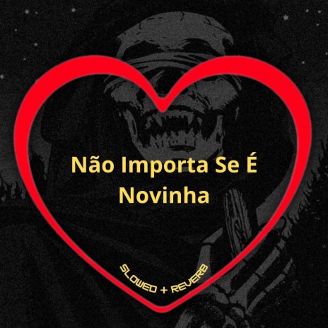 Não Importa Se É Novinha (Slowed + Reverb) ft. DJ Ronaldinho Paulista, DJ Menor & MC MN | Boomplay Music