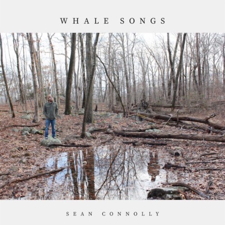 Whale Songs | Boomplay Music
