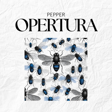 Opertura | Boomplay Music