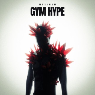 Maximum Gym Hype