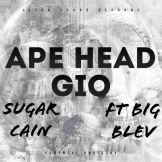Ape Head Gio