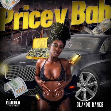 Pricey Bab | Boomplay Music