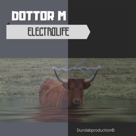 Electrolife | Boomplay Music