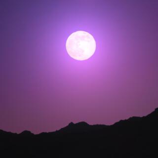 Pink Moon