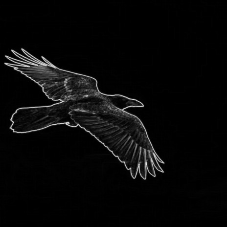 As The Crow Flies | Boomplay Music