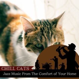Jazz Music From The Comfort of Your Home