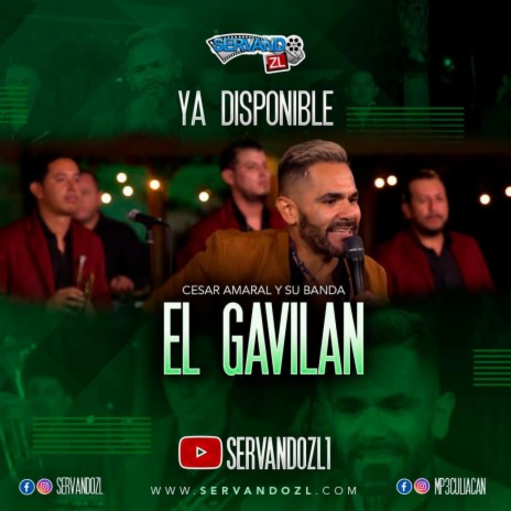 El Gavilán | Boomplay Music