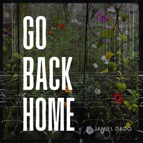 Go Back Home | Boomplay Music