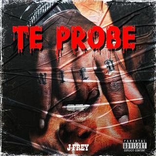 Te Probe