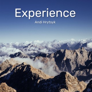 Experience