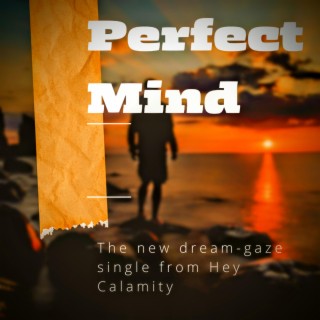 Perfect Mind