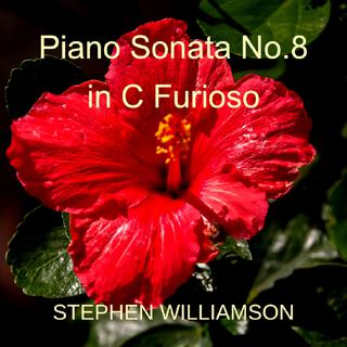 Piano Sonata No.8 in C (Furioso)