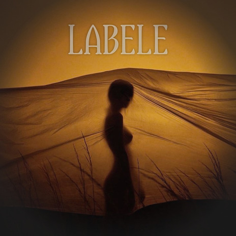 LABELE ft. IDAL | Boomplay Music