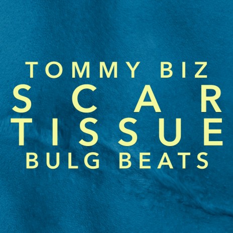 Scar Tissue ft. Bulg Beats | Boomplay Music