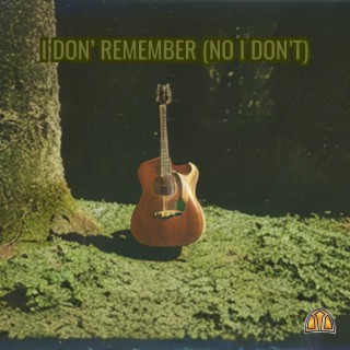 I don't remember (No I don't) lyrics | Boomplay Music