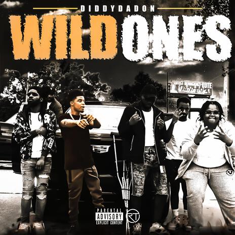 Wild Ones | Boomplay Music